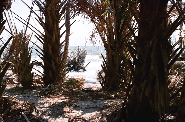 Botany Bay