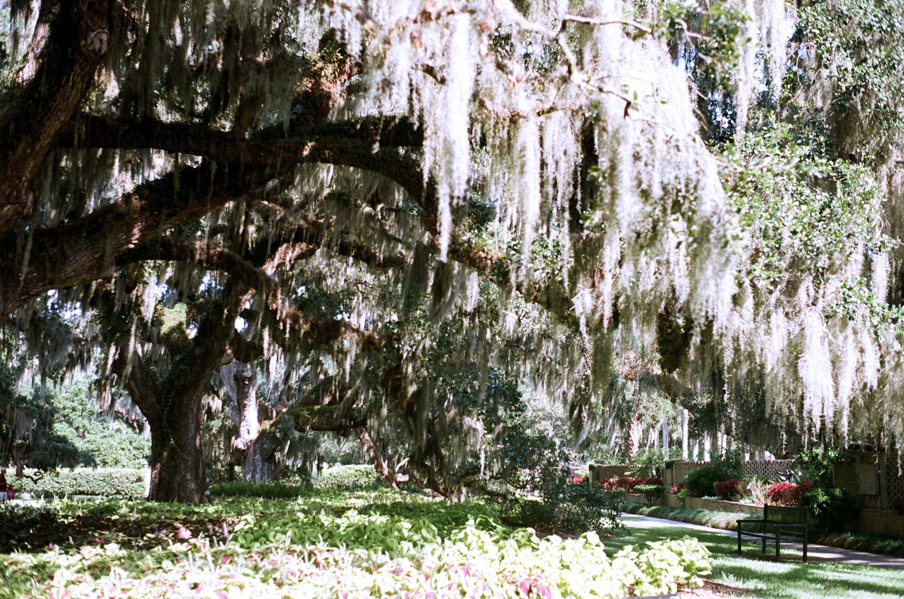 Botanical Haven