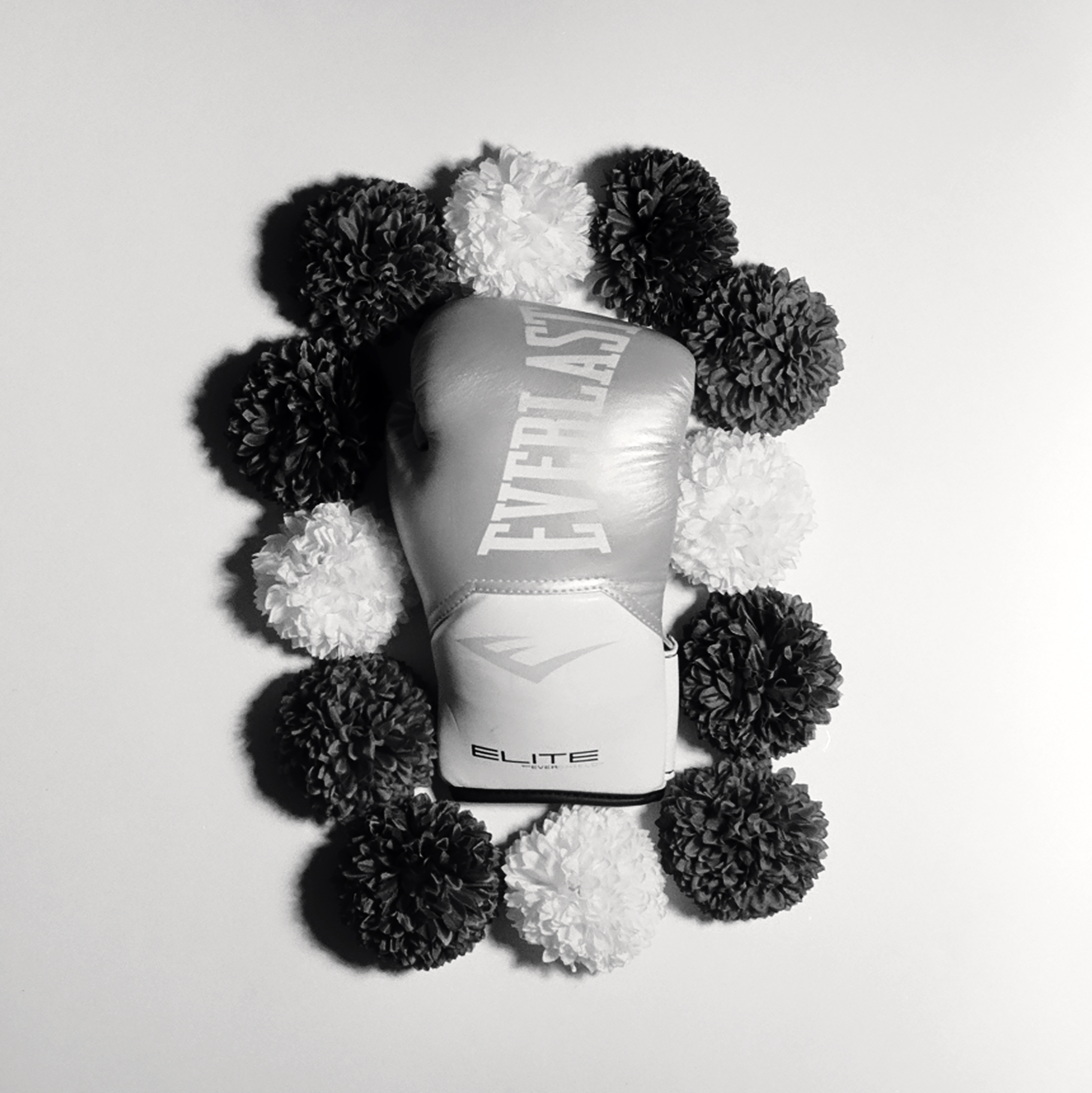 Chrysanthemum Punch No. 2