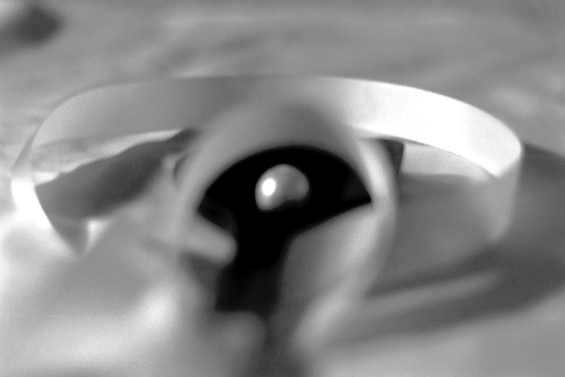 Swine Sought Pearls 16